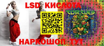 прущие грибы Коммунар